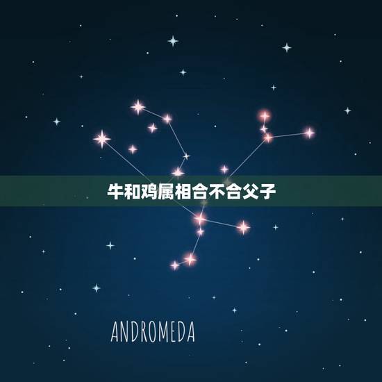 牛和鸡属相合不合父子,属鸡和属羊的父子关系好不好 牛和鸡属相合不合父子,属鸡和属羊的父子关系好不好