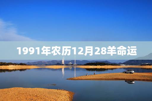 1991年农历12月28羊命运，2012年女龙一生的命运