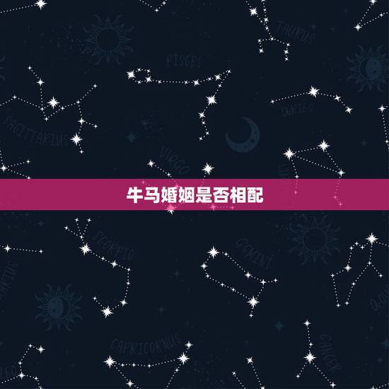 牛马婚姻是否相配 牛马婚姻相配吗 牛马婚姻是否相配 牛马婚姻相配吗
