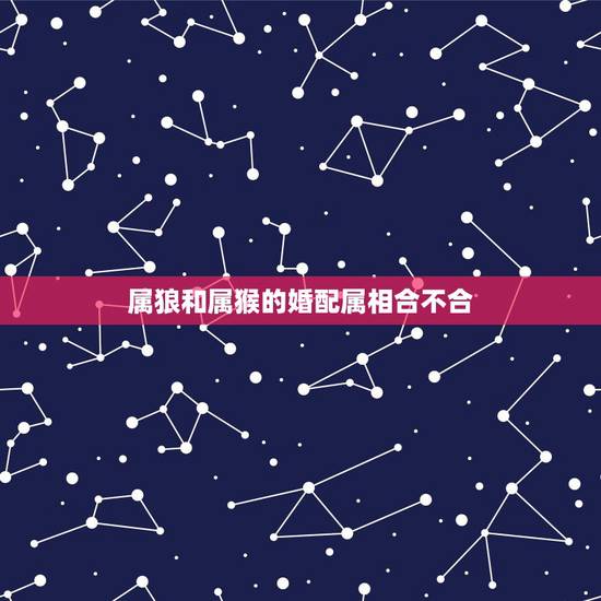 属狼和属猴的婚配属相合不合，属猴的跟什么属相比较和，什么属相不和？