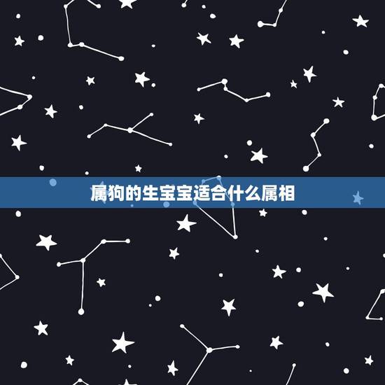 属狗的生宝宝适合什么属相，我属狗老公属羊，我们生个什么属相的宝宝最好