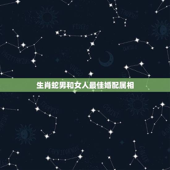 生肖蛇男和女人最佳婚配属相,蛇和什么生肖最配?属蛇的属相婚配表大全 生肖蛇男和女人最佳婚配属相,蛇和什么生肖最配?属蛇的属相婚配表大全