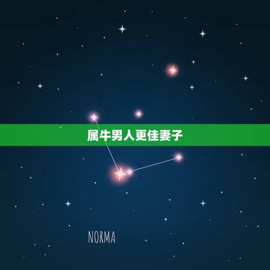 属牛男人更佳妻子,属牛男分手的方式 属牛男人更佳妻子,属牛男分手的方式
