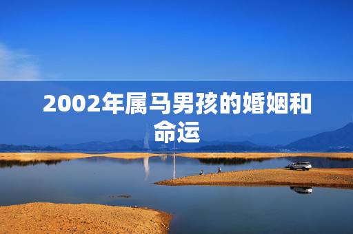 2002年属马男孩的婚姻和命运,属马人的婚姻与命运,属马人和什么属相最 2002年属马男孩的婚姻和命运,属马人的婚姻与命运,属马人和什么属相最
