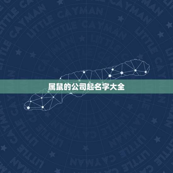 属鼠的公司起名字大全，寓意好的公司名字大全