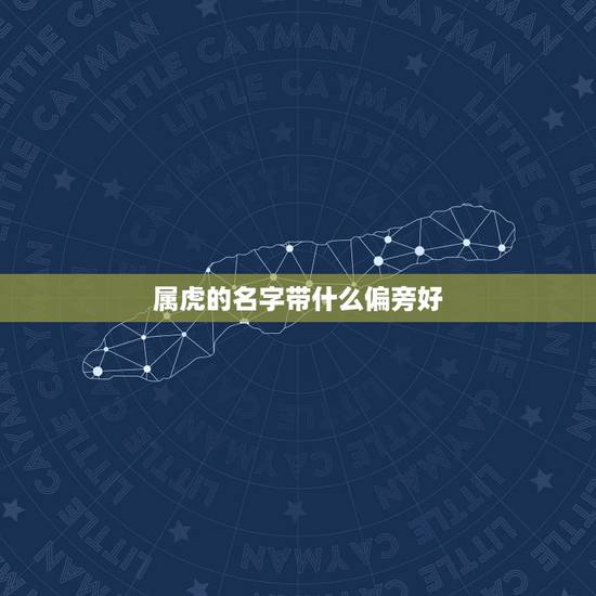 属虎的名字带什么偏旁好，牛宝宝取名大全2022 款