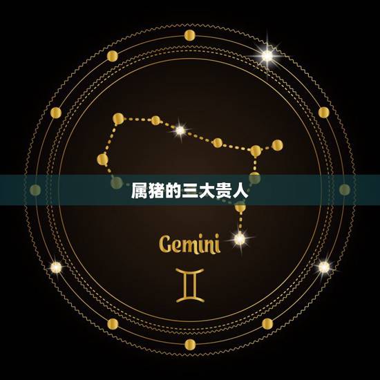 属猪的三大贵人，与猪不合的属相