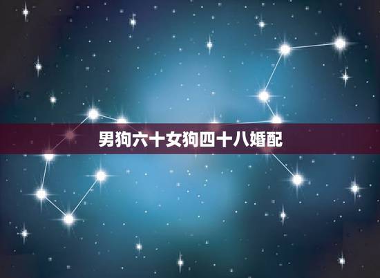 男狗六十女狗四十八婚配,男属狗的和女属虎的今年几月结婚好 男狗六十女狗四十八婚配,男属狗的和女属虎的今年几月结婚好