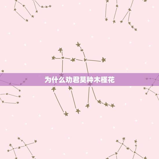 为什么劝君莫种木槿花,对木槿花西月锦绣的人物分析 为什么劝君莫种木槿花,对木槿花西月锦绣的人物分析