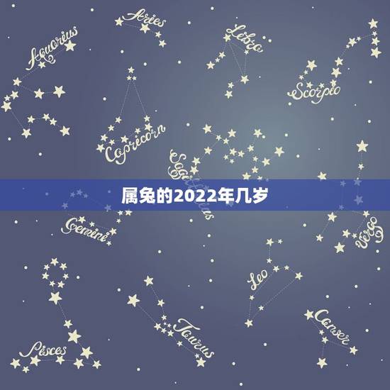 属兔的2022年几岁，2022年属兔的是什么命