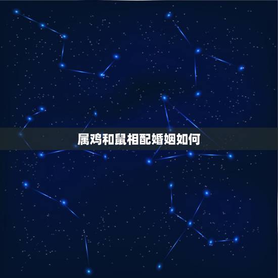 属鸡和鼠相配婚姻如何,男属鸡与女属鼠相配吗? 属鸡和鼠相配婚姻如何,男属鸡与女属鼠相配吗?