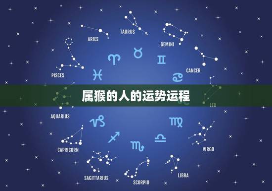 属猴的人的运势运程，今天属猴的运程怎么样？关于工作的