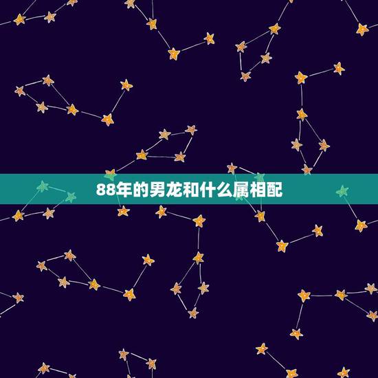 88年的男龙和什么属相配，属龙男88的和什么属相最配