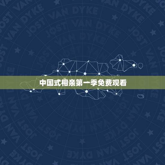 中国式相亲第一季免费观看，中国式相亲结局太令人失望了.为什么安琪和苏格