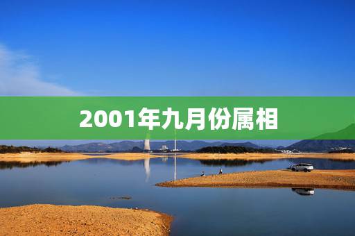2001年九月份属相，1978年属什么生肖