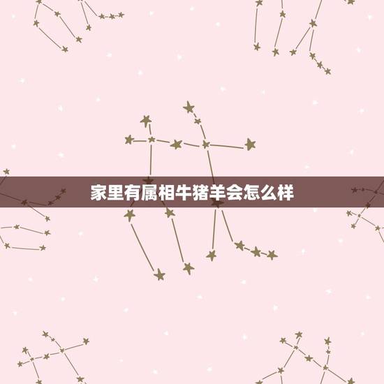 家里有属相牛猪羊会怎么样，一家里有两个属猪一个数属羊两个属狗还即将有个