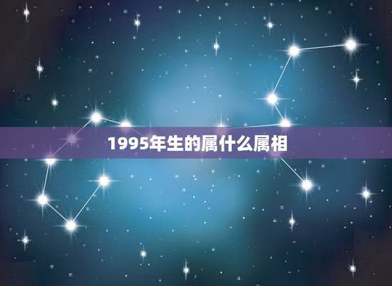 1995年生的属什么属相，95年属猪的和什么属相最配
