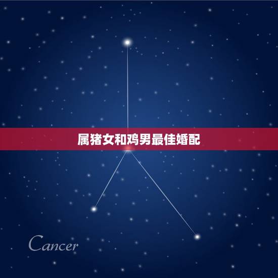 属猪女和鸡男最佳婚配,属鸡男和属猪女可以结婚吗? 属猪女和鸡男最佳婚配,属鸡男和属猪女可以结婚吗?