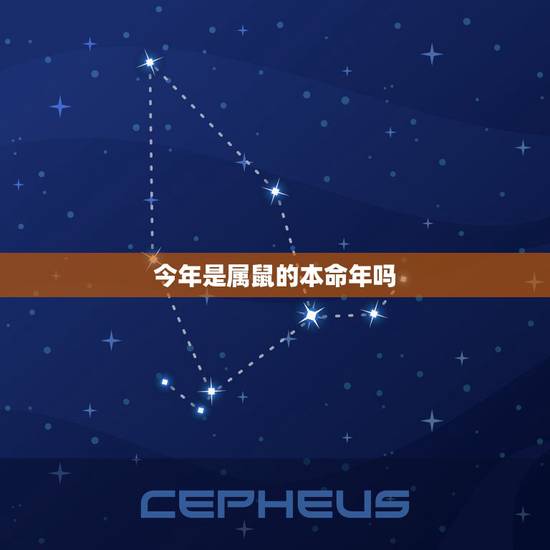 今年是属鼠的本命年吗,本命年戴什么转运属牛 今年是属鼠的本命年吗,本命年戴什么转运属牛