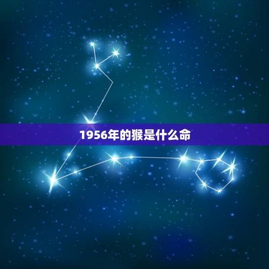 1956年的猴是什么命，1956年属猴最终寿命