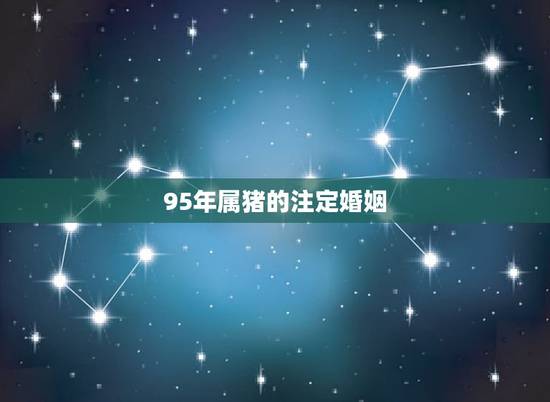 95年属猪的注定婚姻,95属猪姻缘何时到 95年属猪的注定婚姻,95属猪姻缘何时到