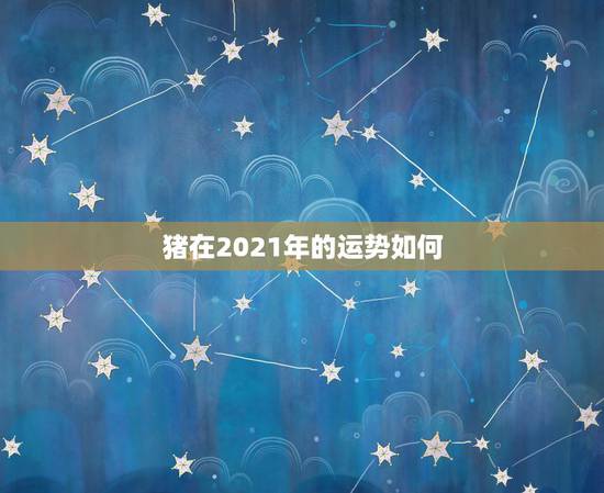猪在2021年的运势如何，2021猪的全年运势如何