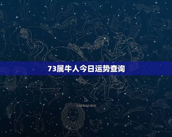 73属牛人今日运势查询，1973年属牛财运怎么样