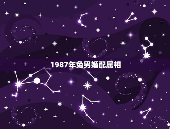 1987年兔男婚配属相，87年属兔生肖配对