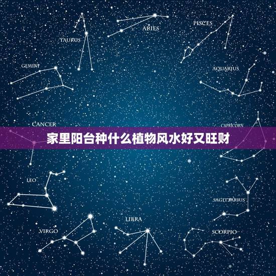 家里阳台种什么植物风水好又旺财，风水：十二生肖养什么植物最旺自己的财运