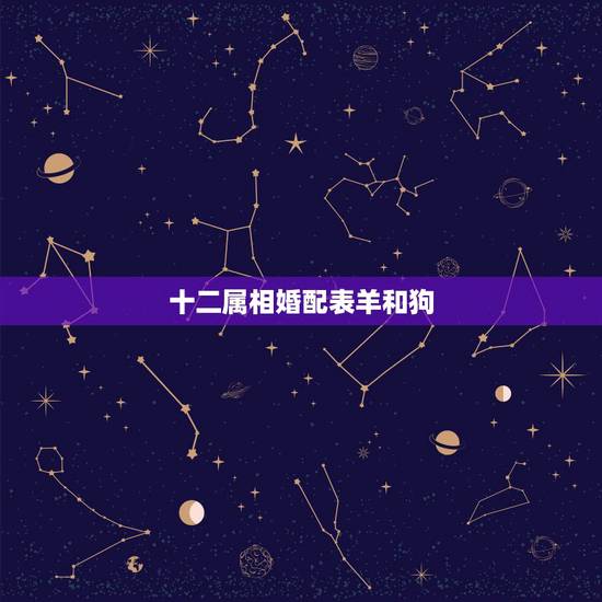 十二属相婚配表羊和狗,属狗婚配表,狗男跟什么属相最配 十二属相婚配表羊和狗,属狗婚配表,狗男跟什么属相最配