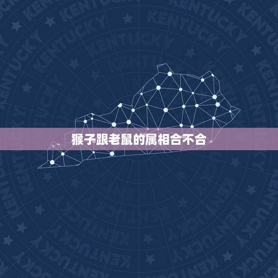 猴子跟老鼠的属相合不合，属猴和属鼠合不合