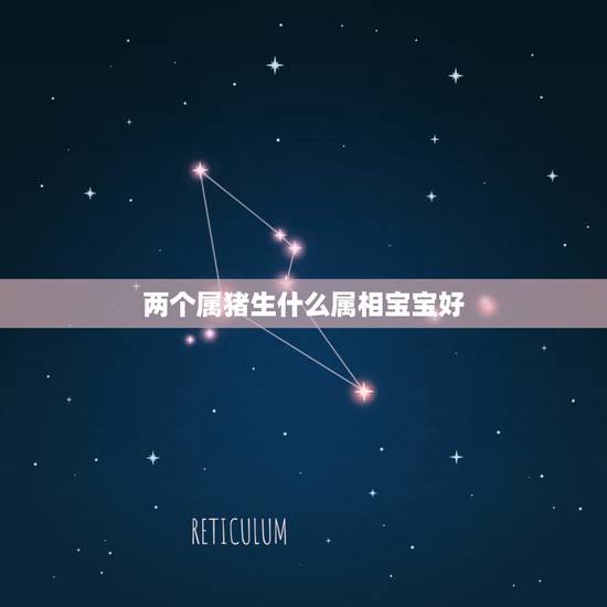 两个属猪生什么属相宝宝好，属鼠的几月出生最好命运如何改变