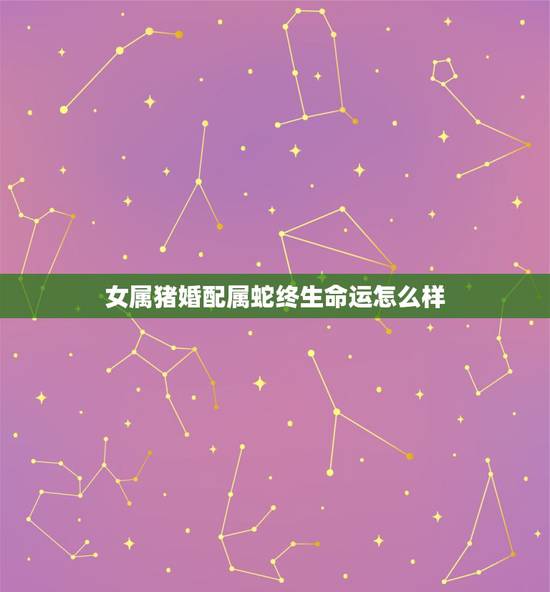 女属猪婚配属蛇终生命运怎么样,属蛇与属猪的婚姻好吗 女属猪婚配属蛇终生命运怎么样,属蛇与属猪的婚姻好吗