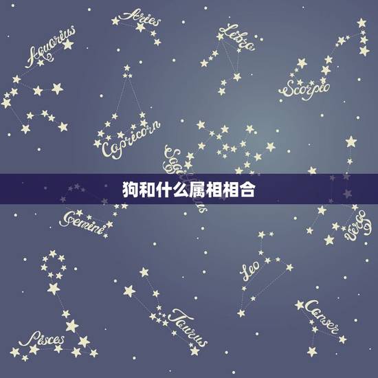 狗和什么属相相合 生肖狗的和什么生肖最配 狗和什么属相相合 生肖狗的和什么生肖最配