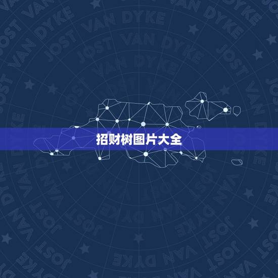 招财树图片大全，招财树叶子发黄，掉叶子。怎么办？图片