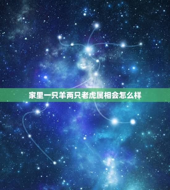 家里一只羊两只老虎属相会怎么样，如果两个人的属相都是一样的好吗？