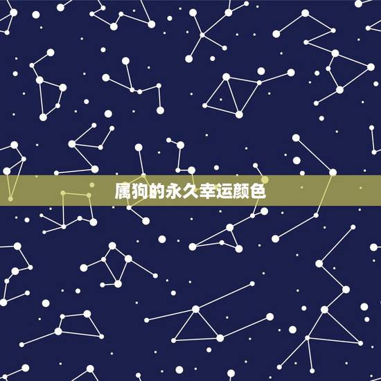 属狗的永久幸运颜色，最旺属狗人的5个数字