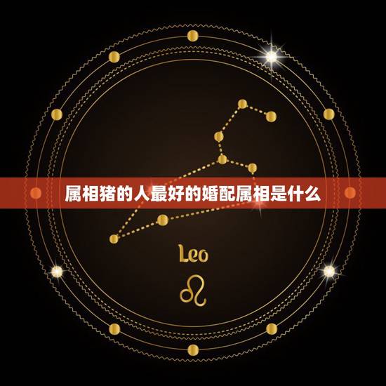 属相猪的人最好的婚配属相是什么，猪和什么属相最配