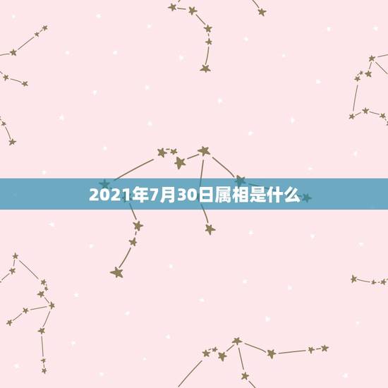2021年7月30日属相是什么,2021年今天属相是什么? 2021年7月30日属相是什么,2021年今天属相是什么?