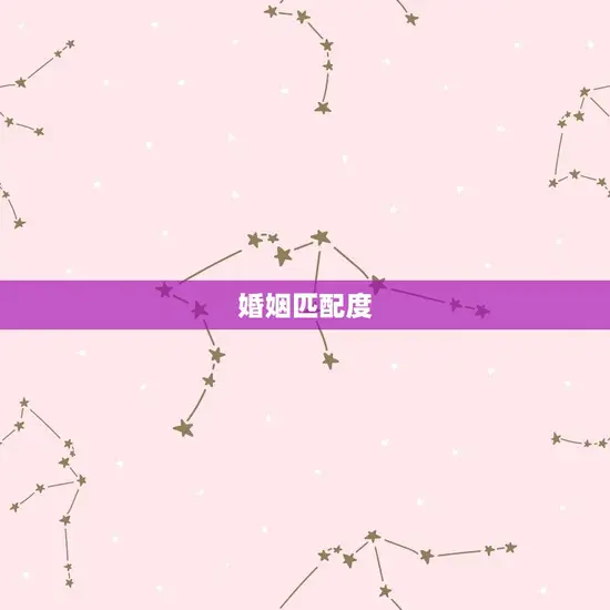 婚姻匹配度 婚姻匹配度