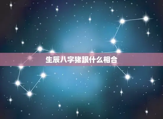 生辰八字猪跟什么相合 生辰八字猪跟什么相合