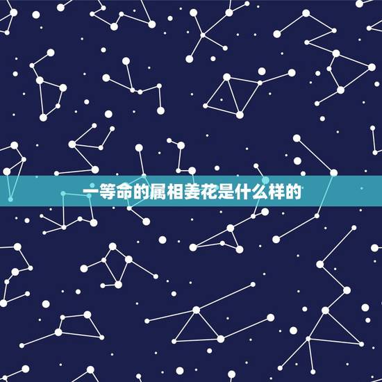 一等命的属相姜花是什么样的，十二生肖的各属于什么命