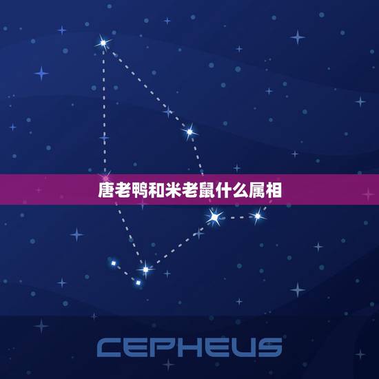 唐老鸭和米老鼠什么属相，米老鼠与唐老鸭猜一生肖