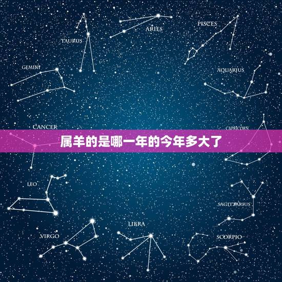 属羊的是哪一年的今年多大了，79年男羊和79年女羊结婚好吗