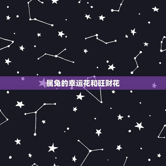 属兔的幸运花和旺财花，属兔女生的吉祥花是什么