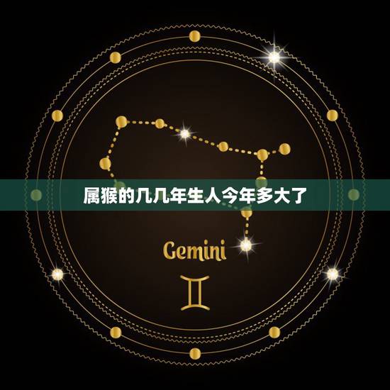 属猴的几几年生人今年多大了,属猴的今年是几岁? 属猴的几几年生人今年多大了,属猴的今年是几岁?