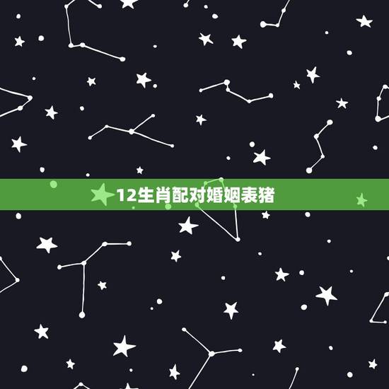 12生肖配对婚姻表猪,12生肖最佳姻缘配对表 12生肖配对婚姻表猪,12生肖最佳姻缘配对表