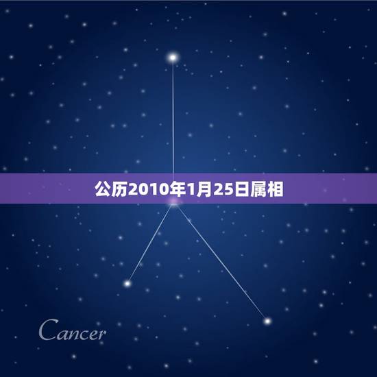 公历2010年1月25日属相，公历2004年1月25日出生的小孩农历应