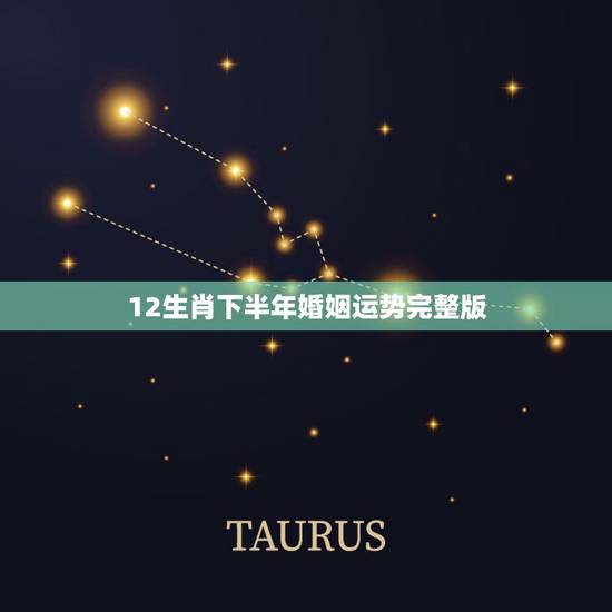 12生肖下半年婚姻运势完整版，93年农历6月13财运婚姻一生运程？