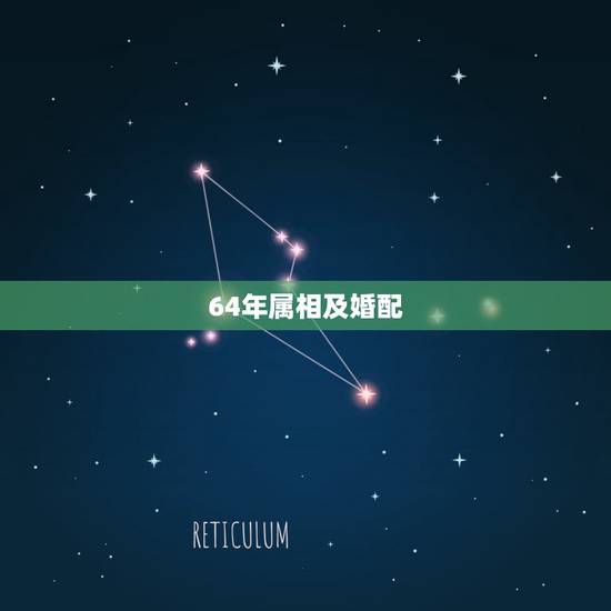 64年属相及婚配，72年属鼠和64年属龙的人相配吗